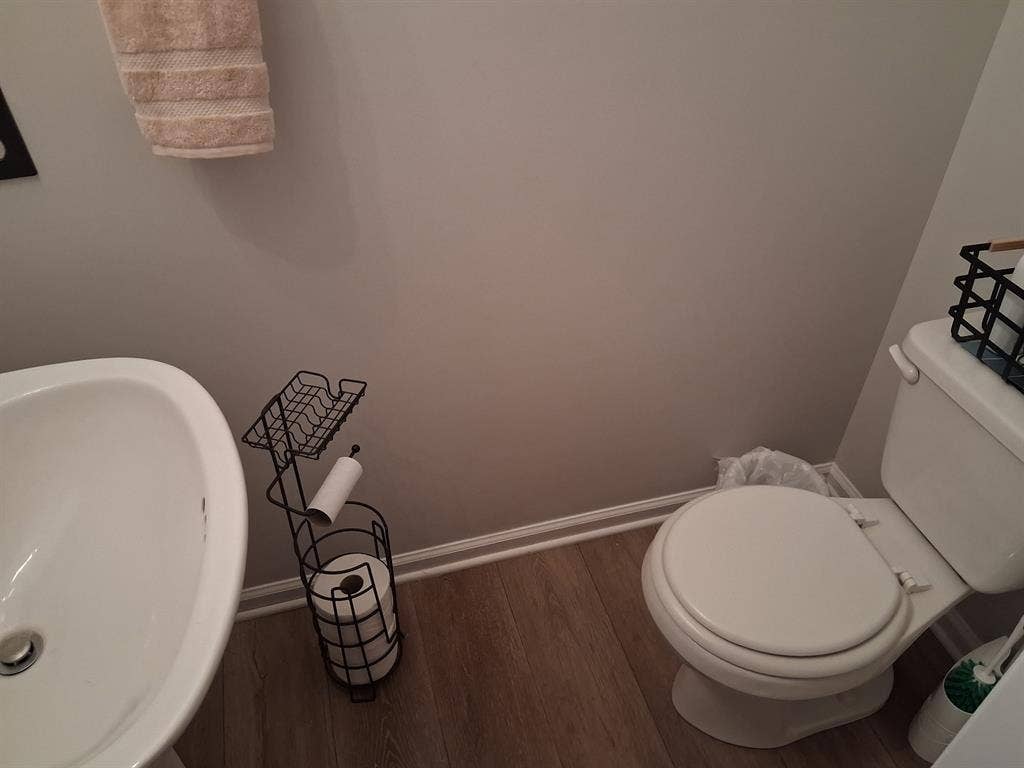 Female Roommate Wanted
