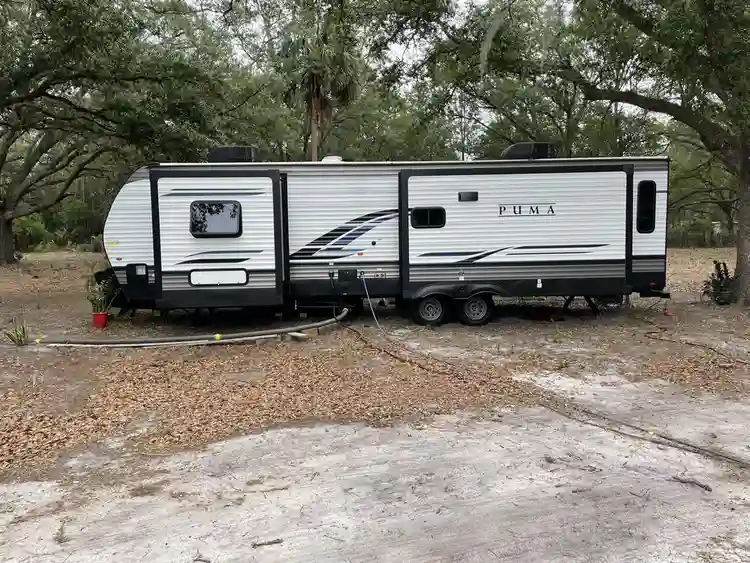 Looking for a roommate