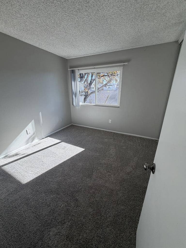 NEED A ROOMMATE ASAP