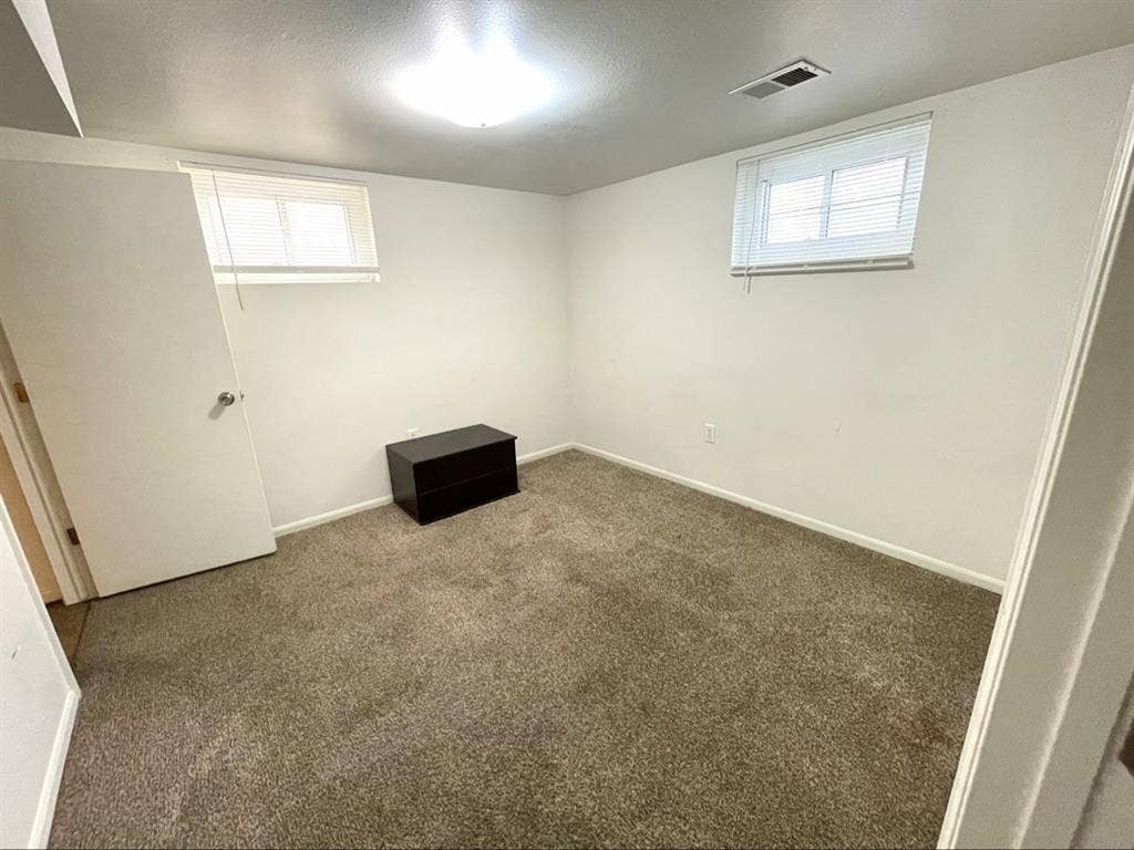 Basement bedroomm