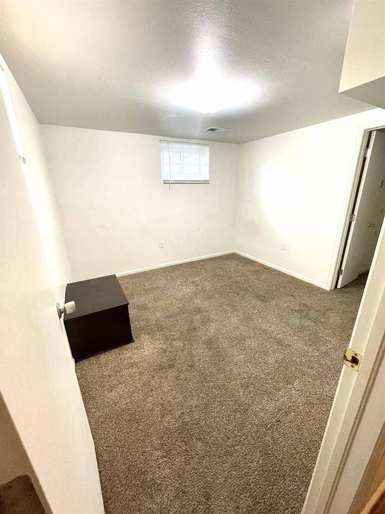 Basement bedroomm