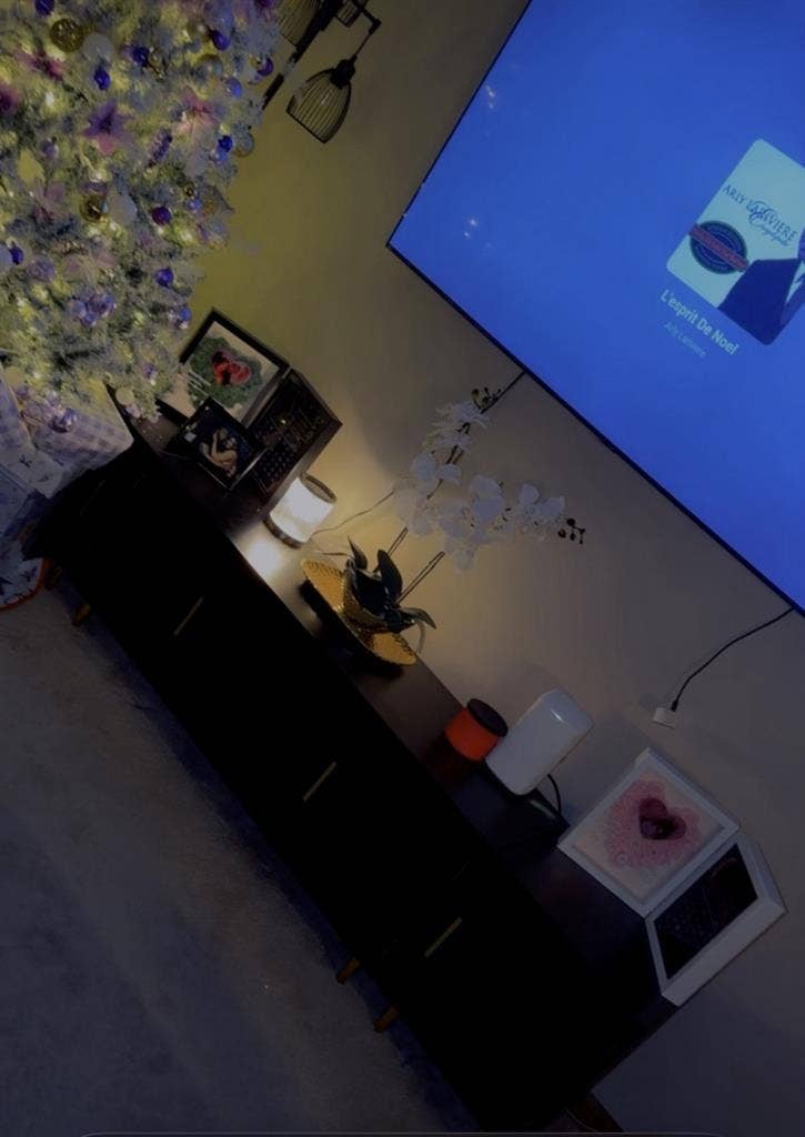 Room for rent in a two bedroom apt