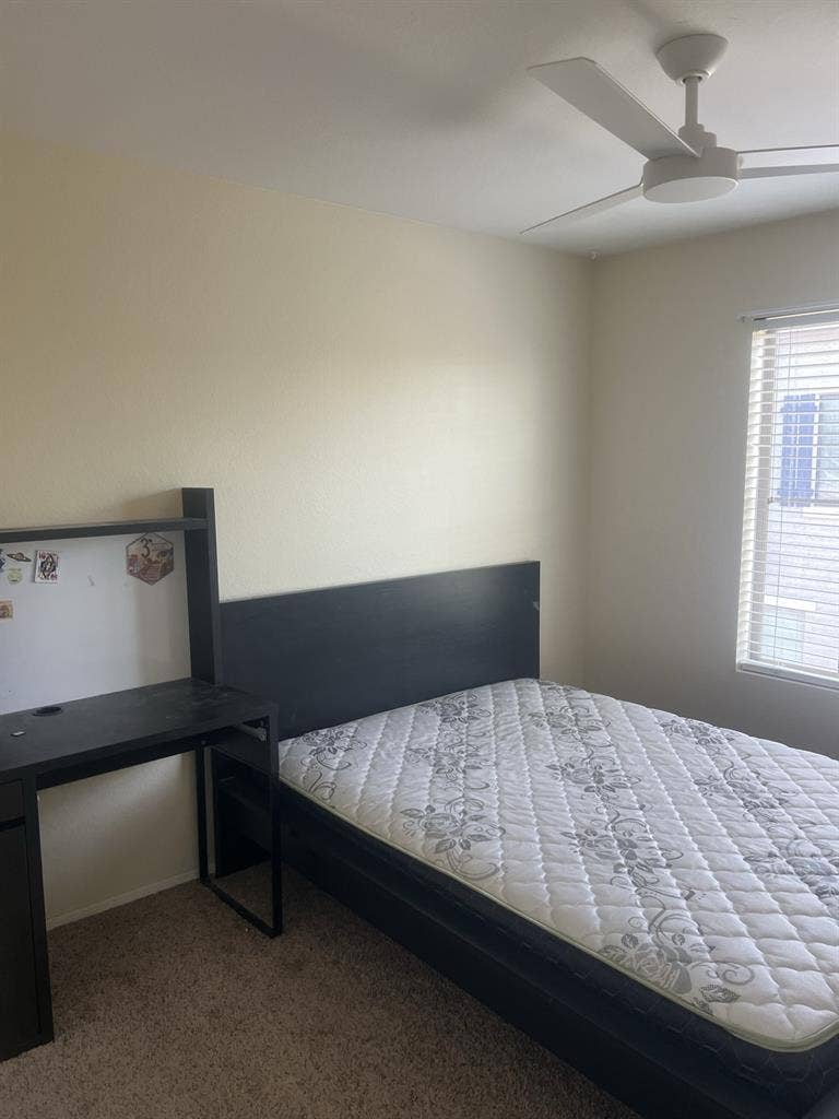 Need a roommate