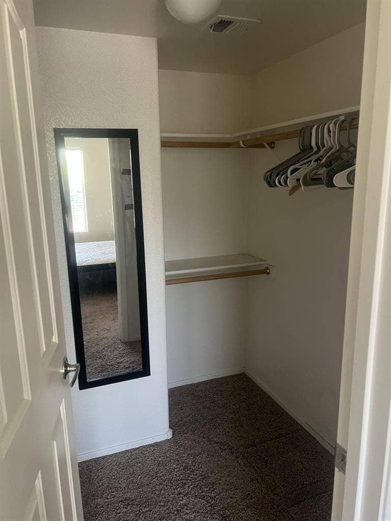 Need a roommate
