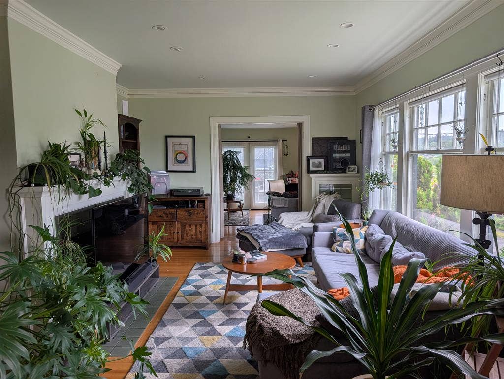 A room for rent - LGBTQ+
