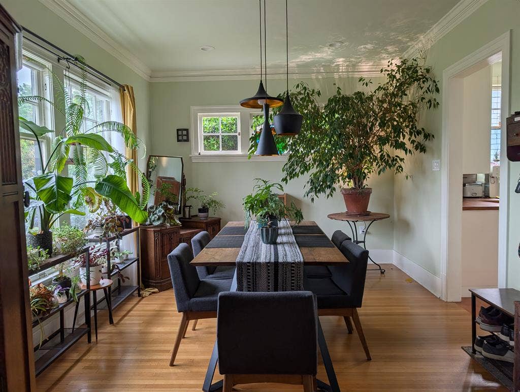 A room for rent - LGBTQ+