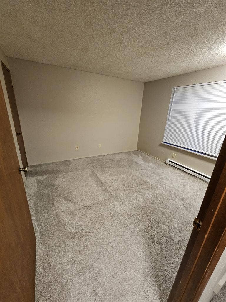 Spacious room for rent