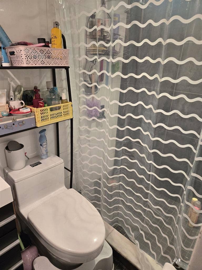 ISO Three Roommates | Crown Heights