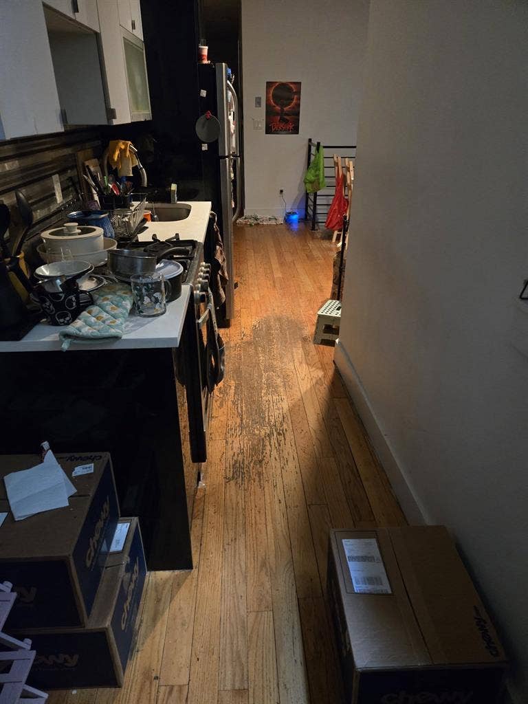 ISO Three Roommates | Crown Heights