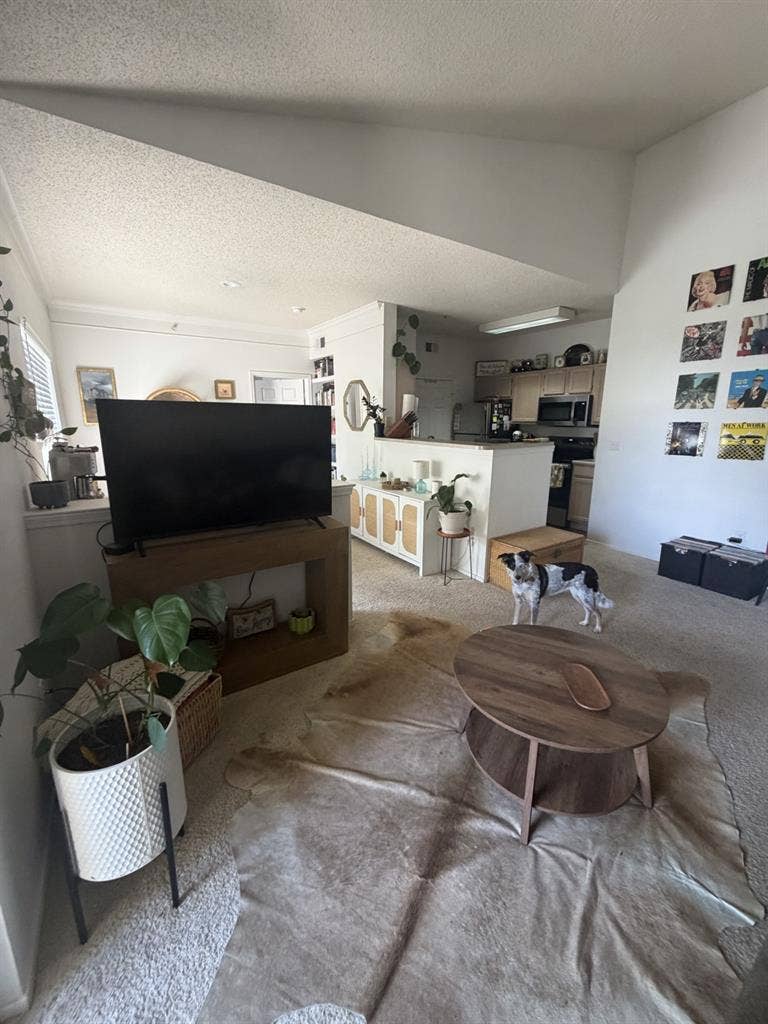 ISO roommate for 2bd/2bth apartment