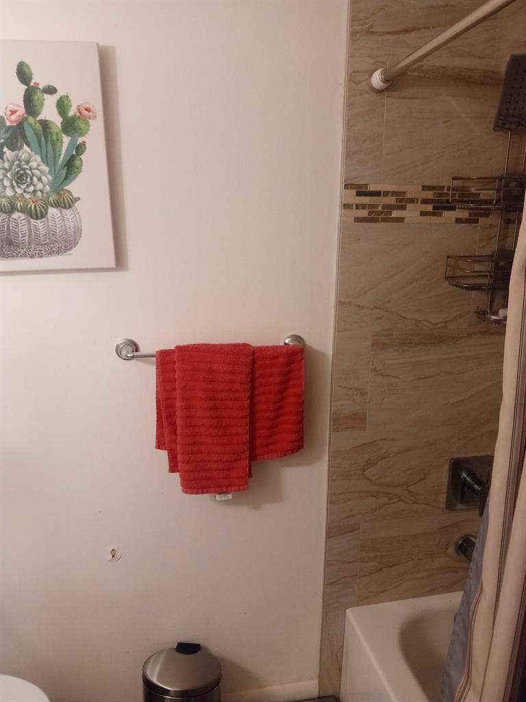 Roommate wanted
