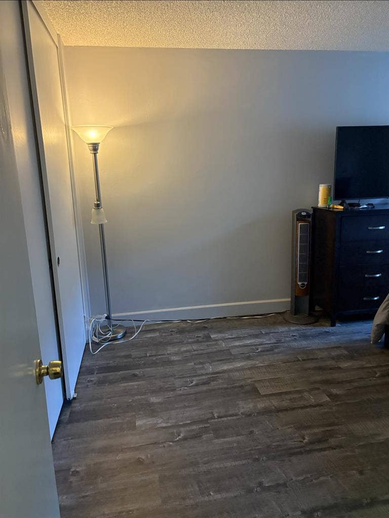 Large Bedroom for rent July 1st!