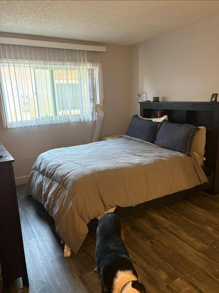 Large Bedroom for rent July 1st!