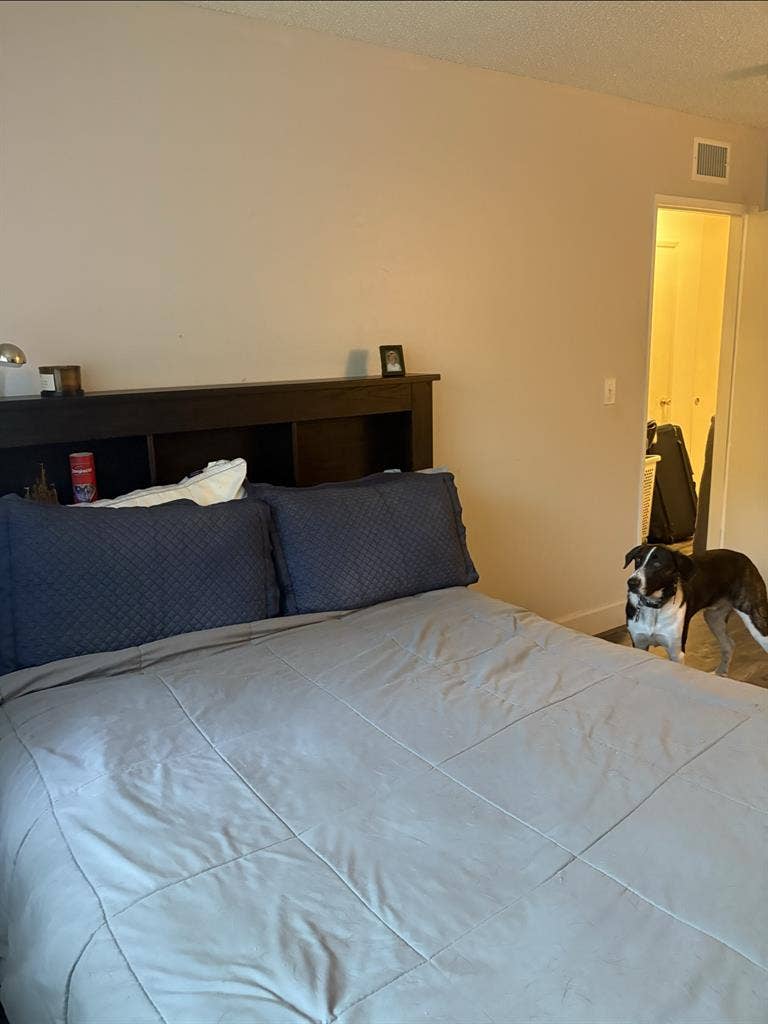 Large Bedroom for rent July 1st!