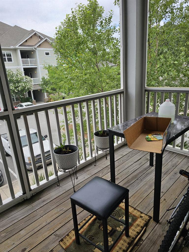 New Listing