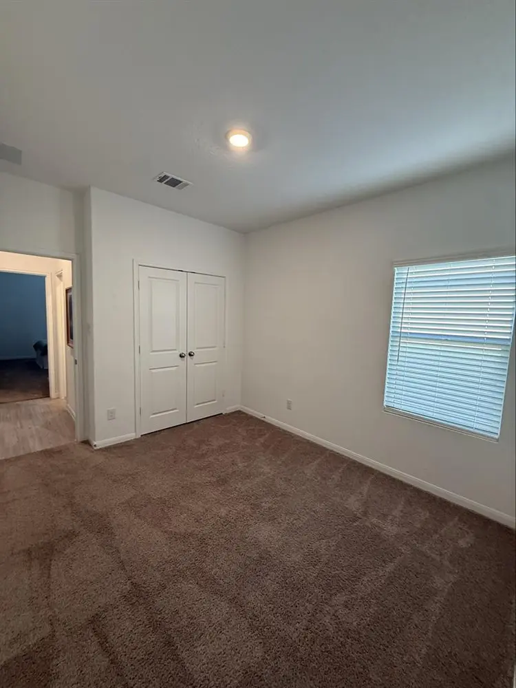 Roommate Wanted