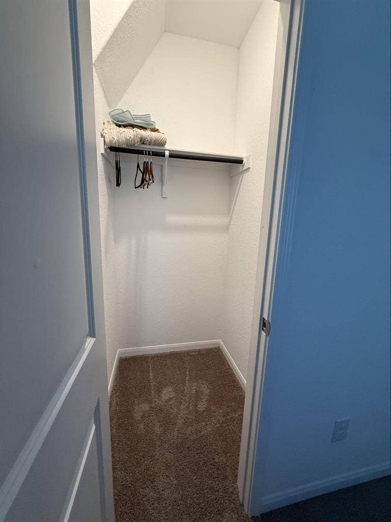 Roommate Wanted