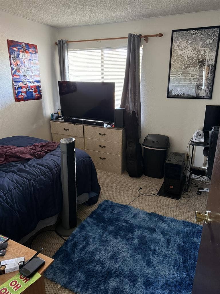 Roommate wanted