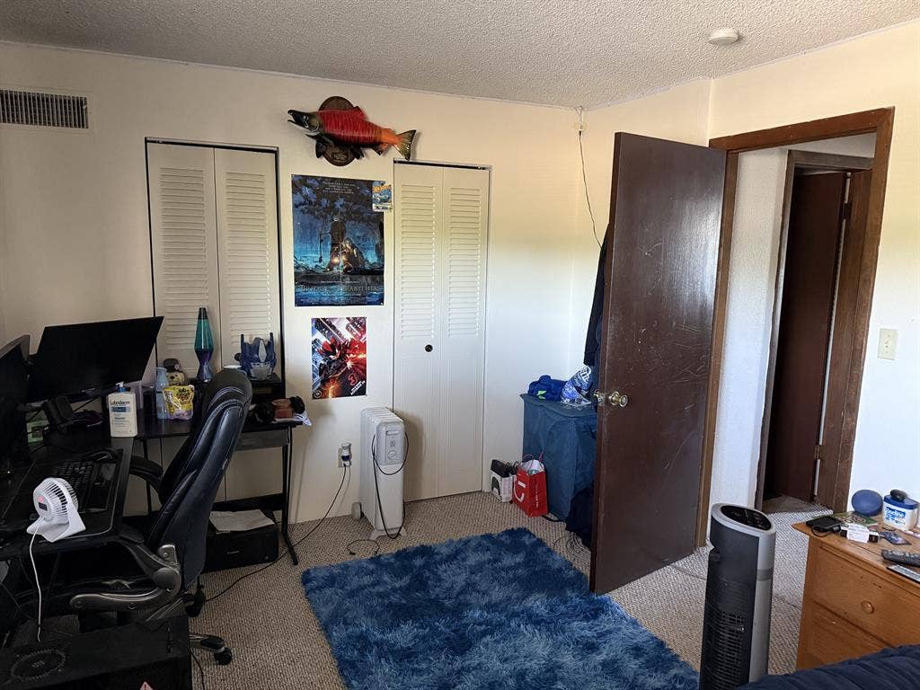 Roommate wanted
