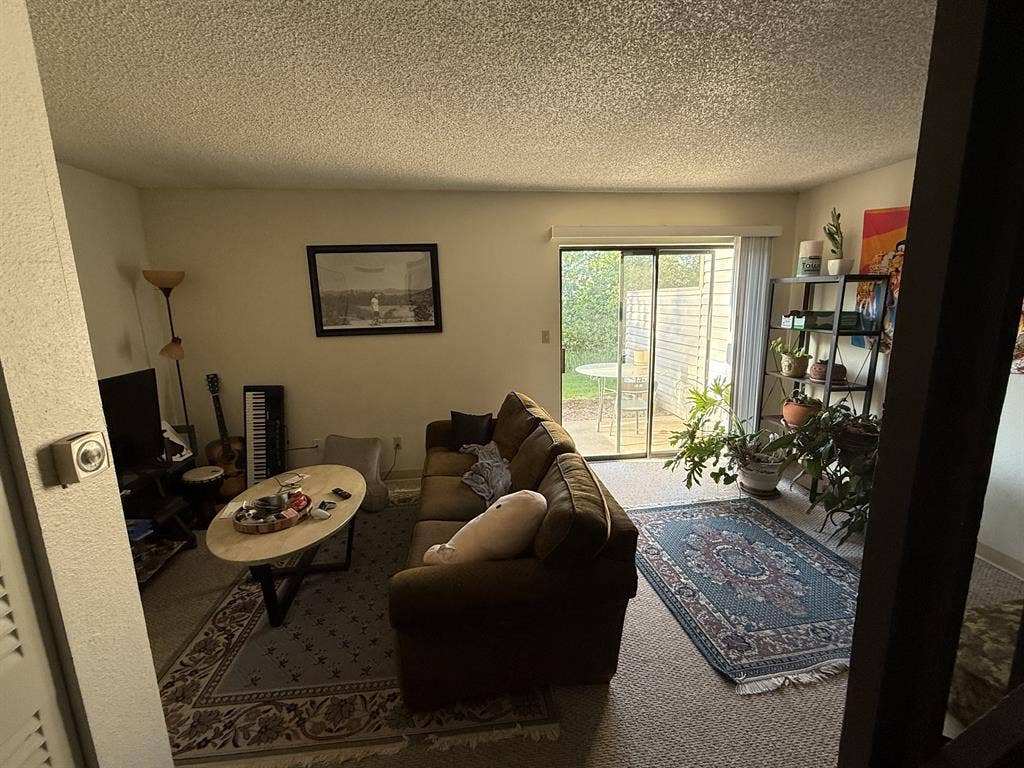 Roommate wanted