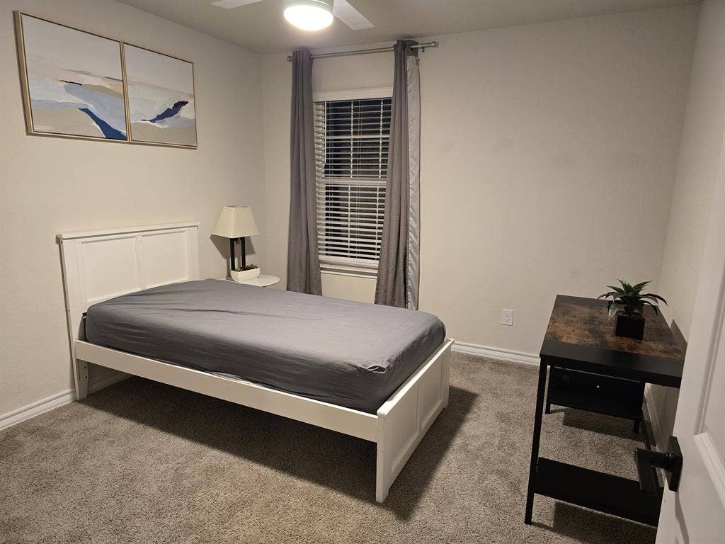 Looking for a roommate