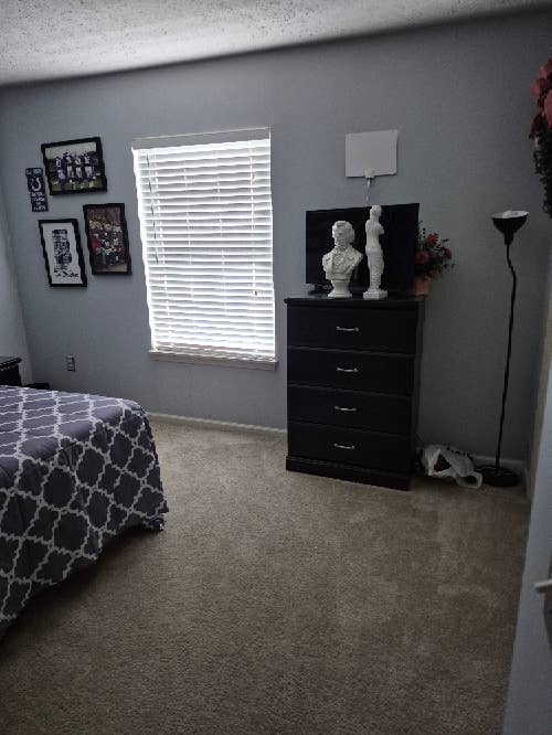 Great apartments