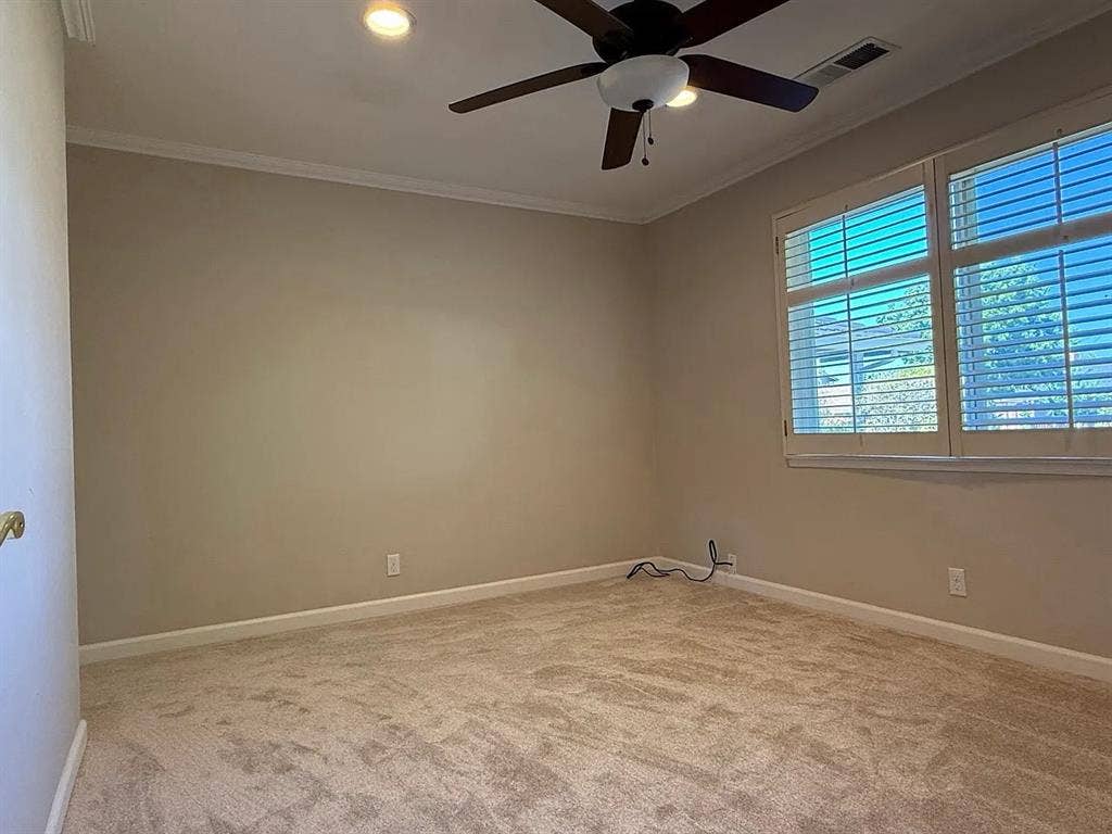 Freshly Updated Cambrian Home!