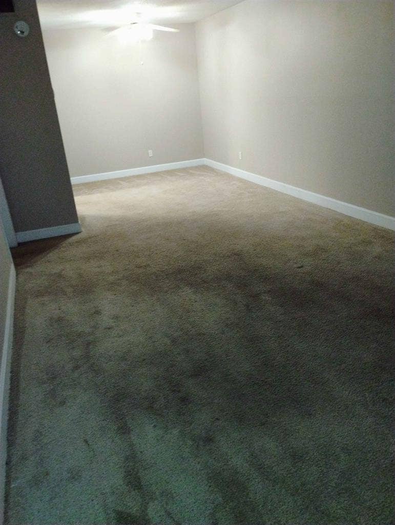 1 BR APT. $600/month near downtown