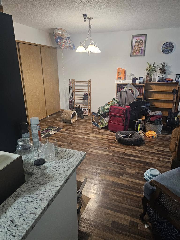 Room for rent