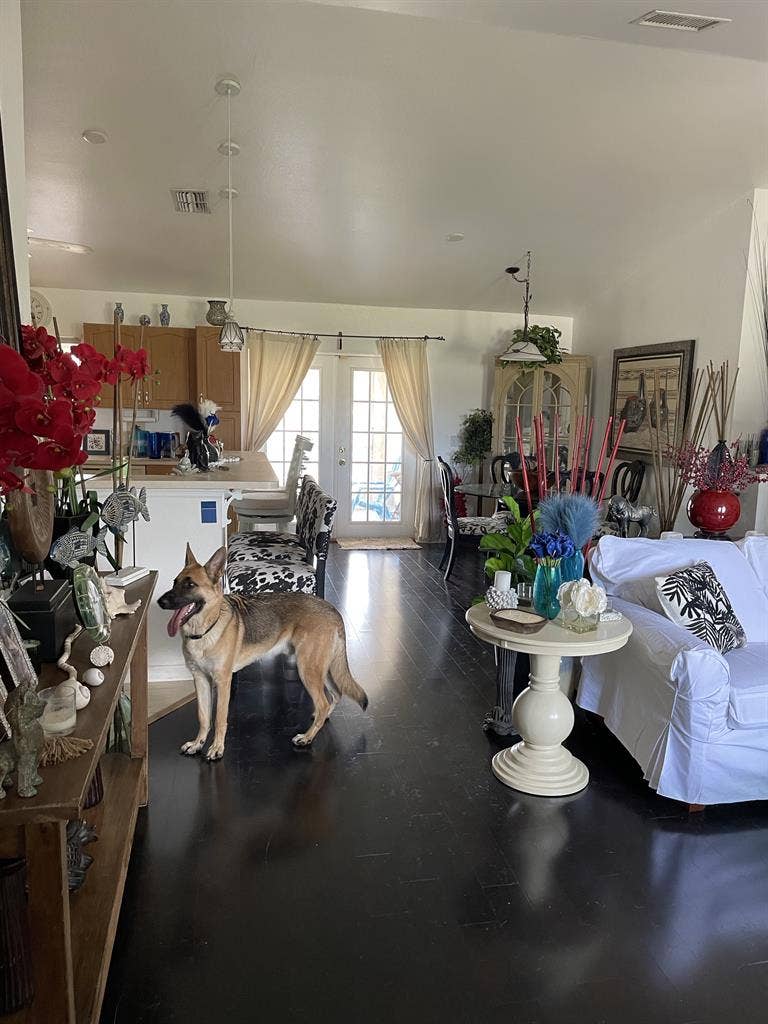Furnished Bedroom/Bath in CapeCoral