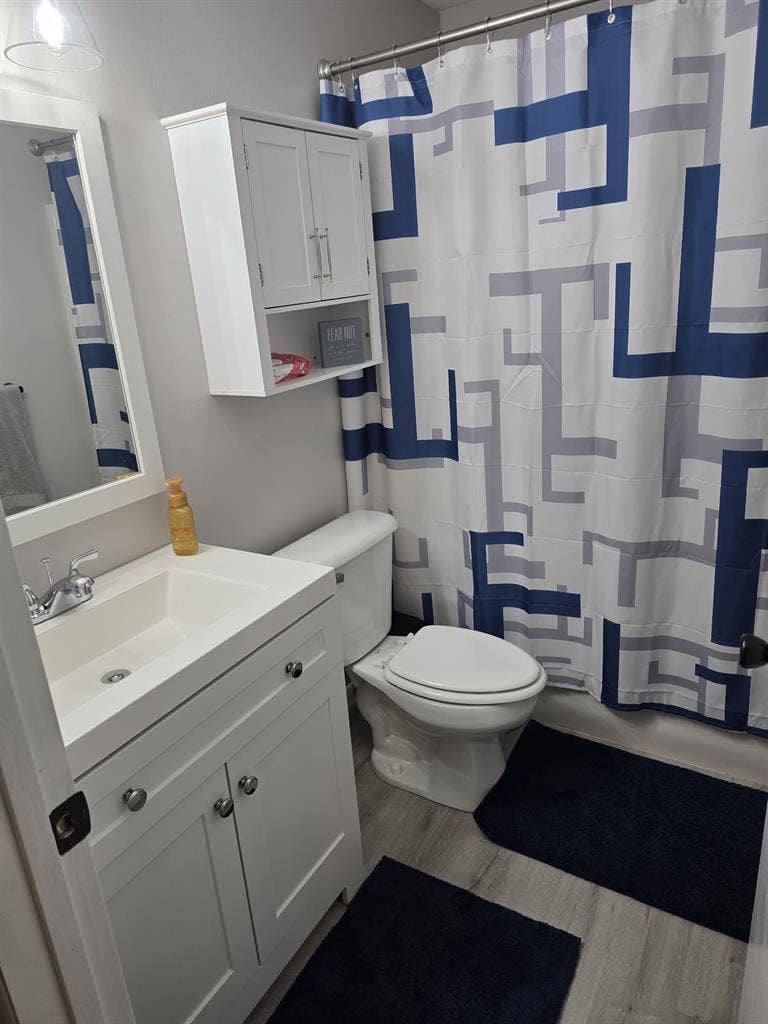 Furnished basement for rent