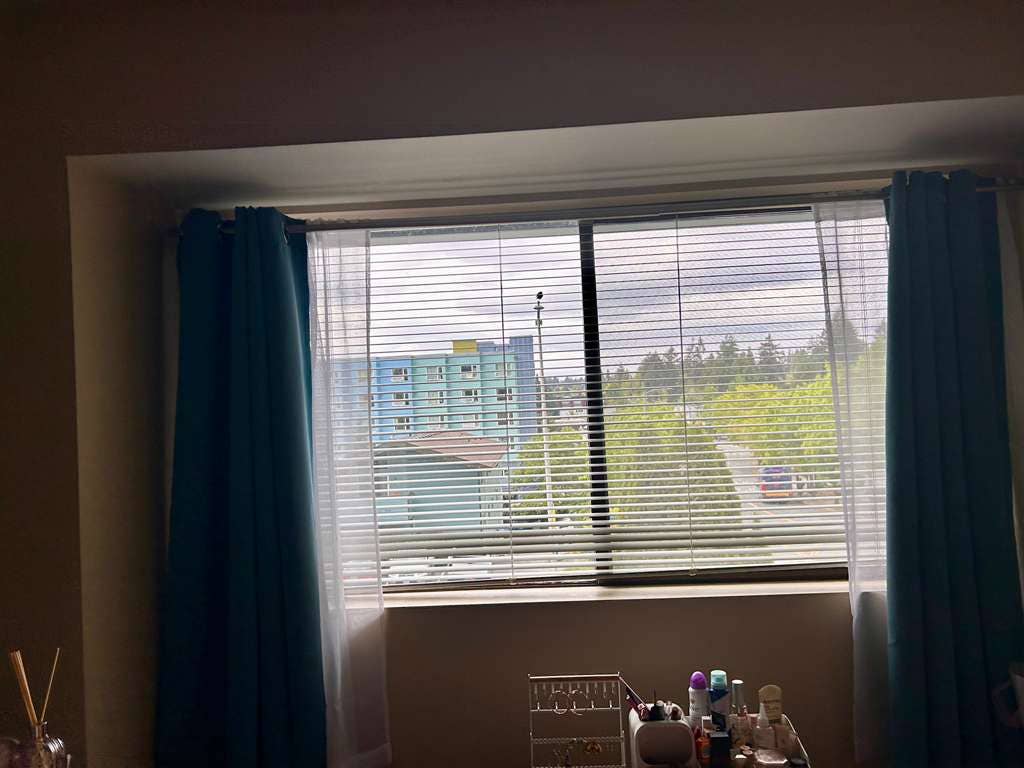 Roomate for 3BD/2B