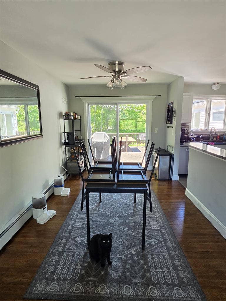 New Listing