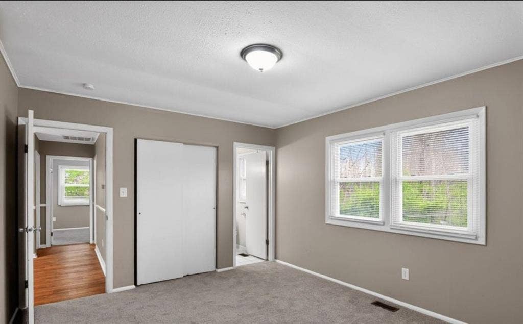 Looking for roommates