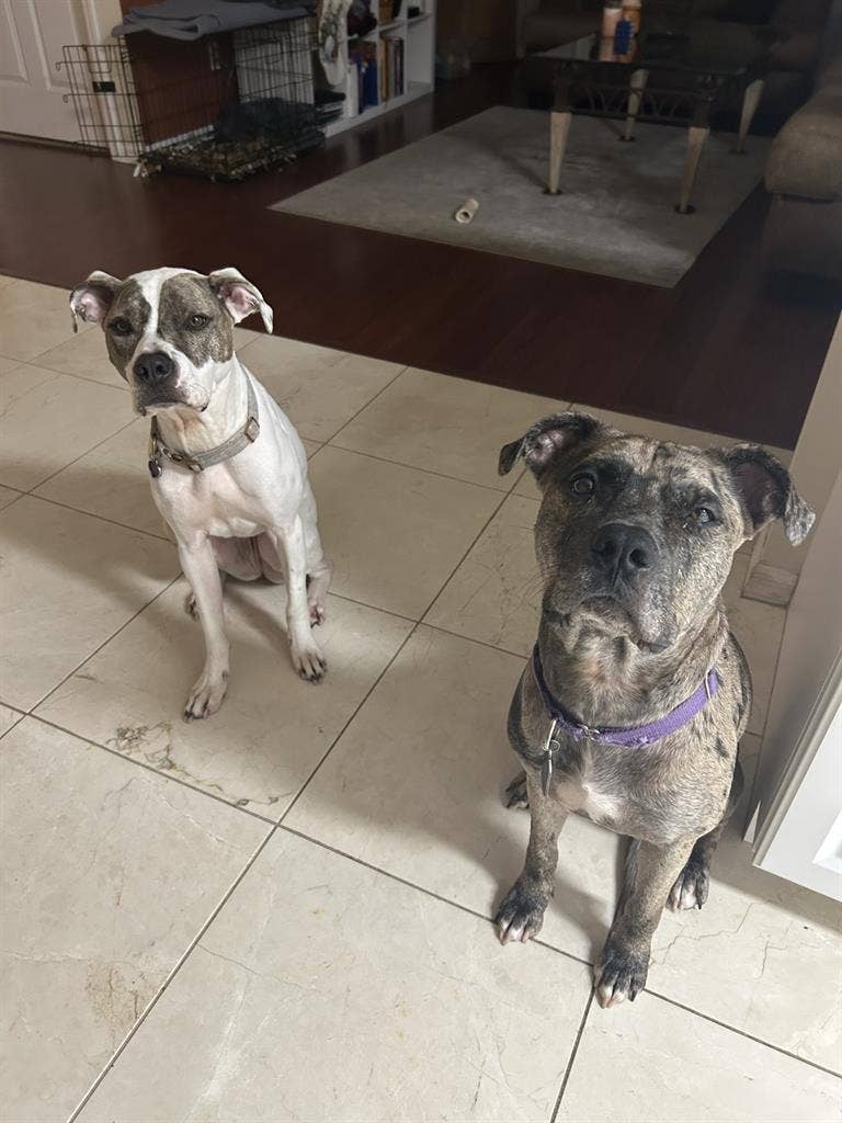 1 bedroom 1 bath in Bonita Springs