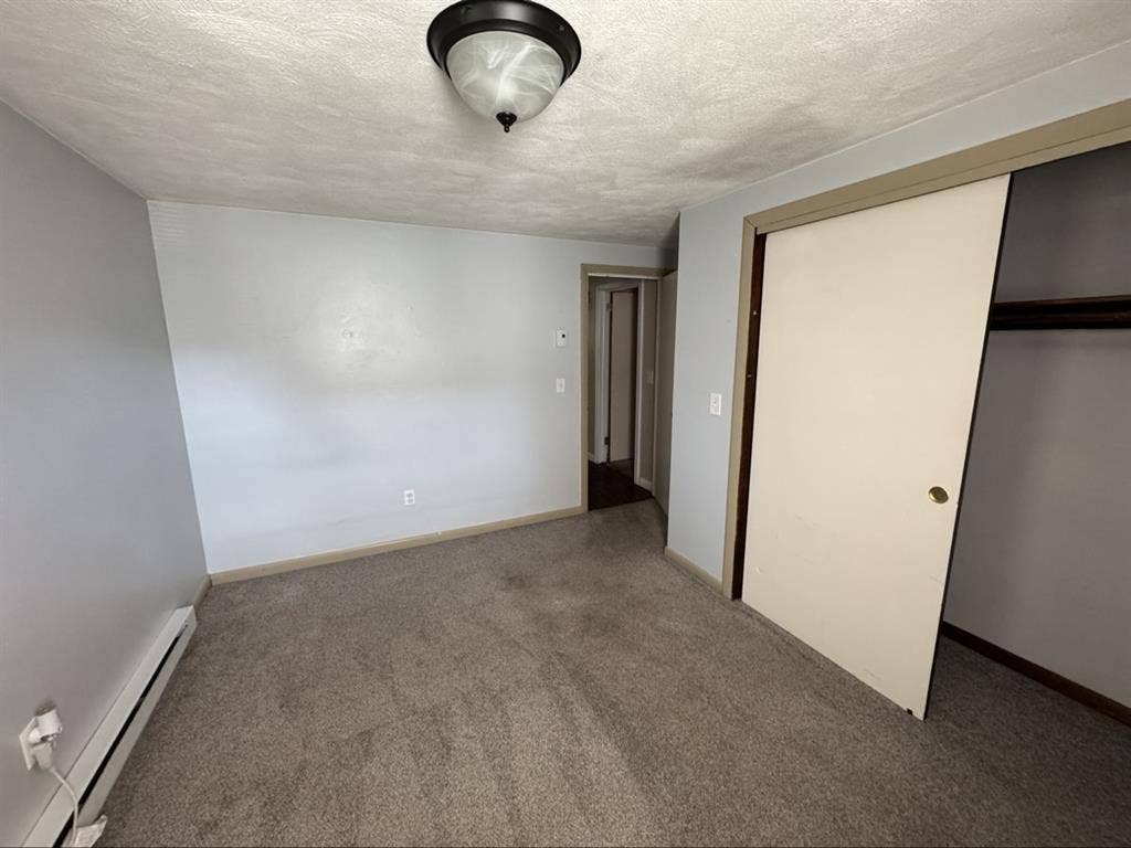 Looking for a roommate