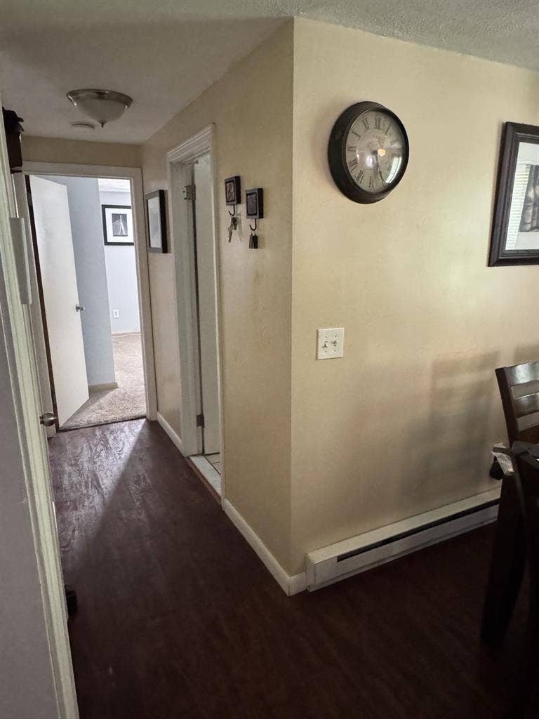 Looking for a roommate