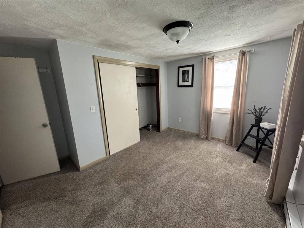 Looking for a roommate