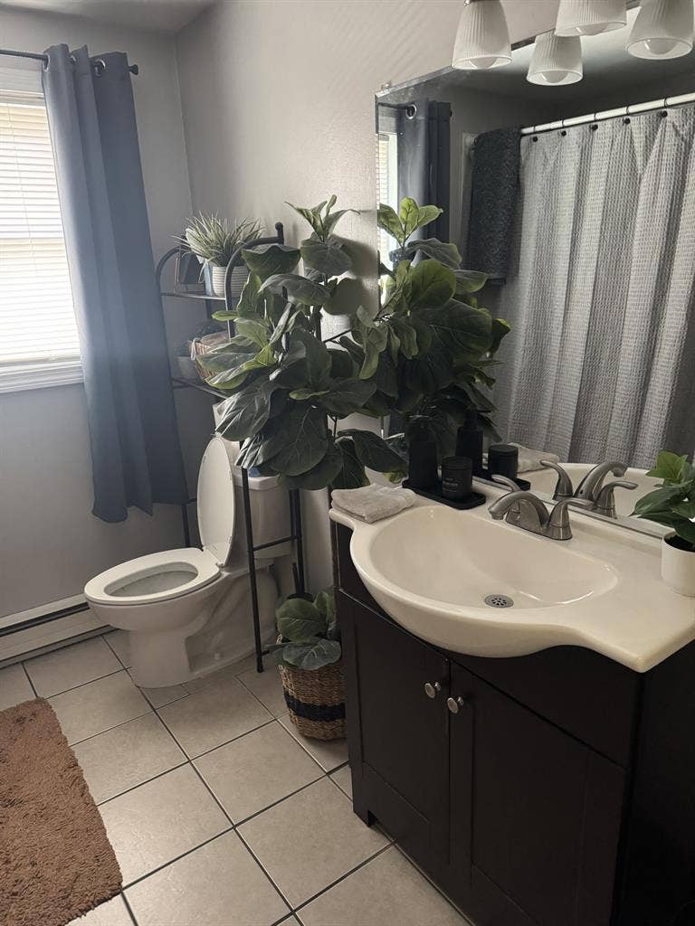 Looking for a roommate