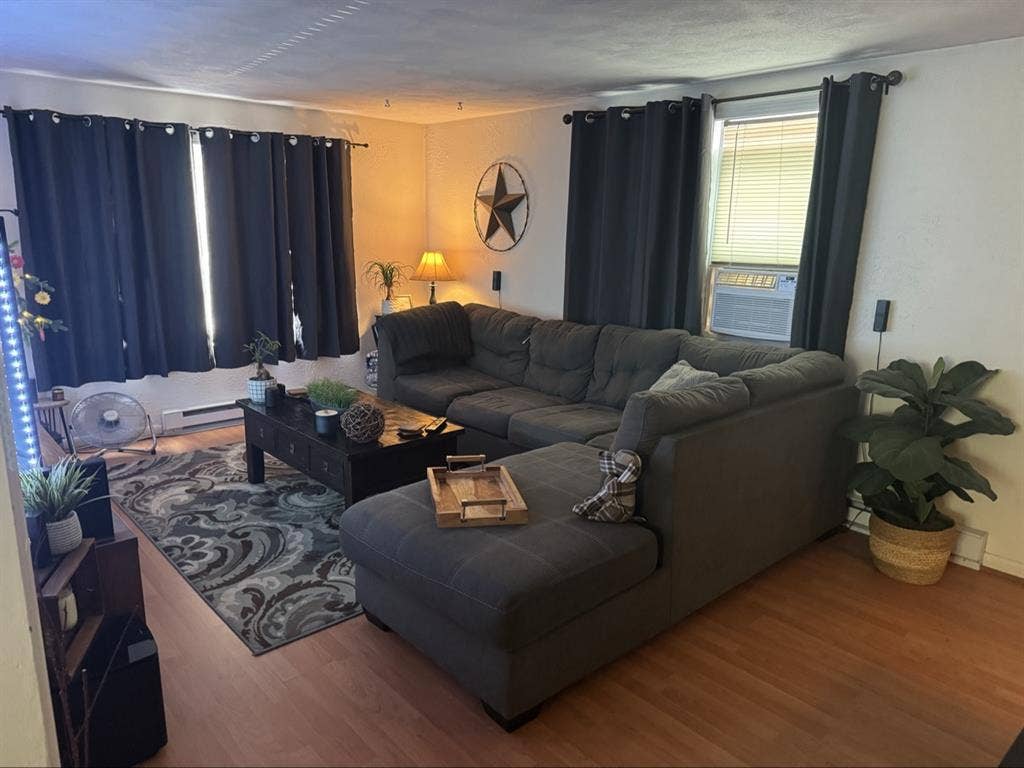 Looking for a roommate