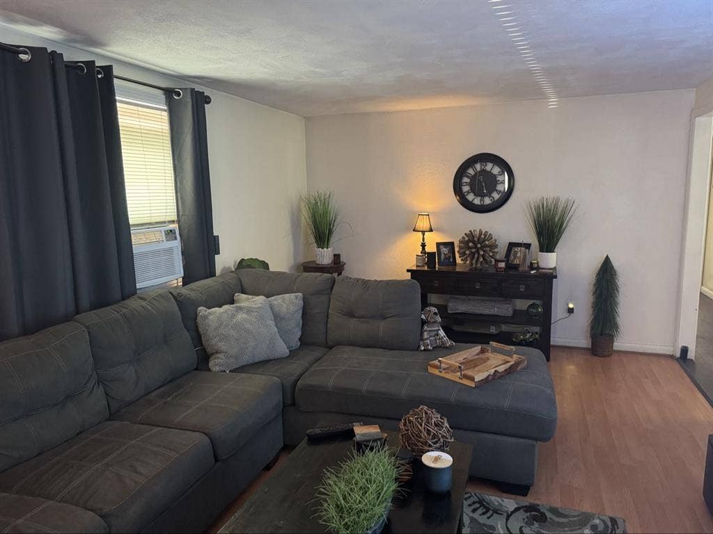 Looking for a roommate