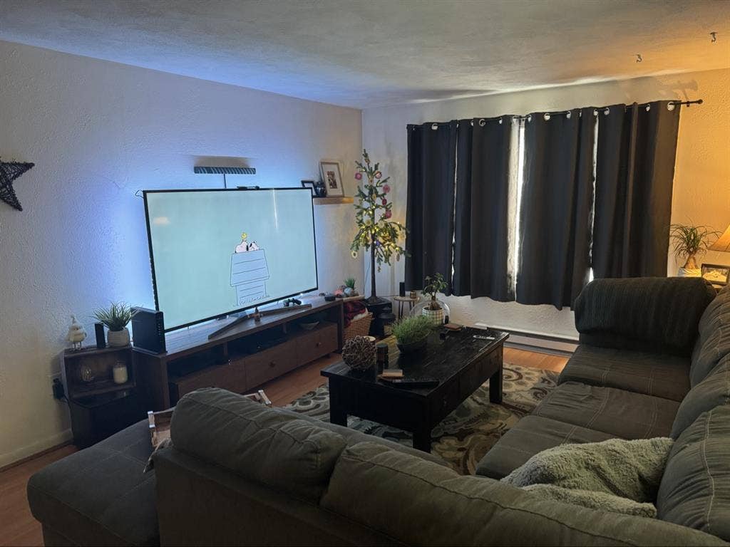 Looking for a roommate