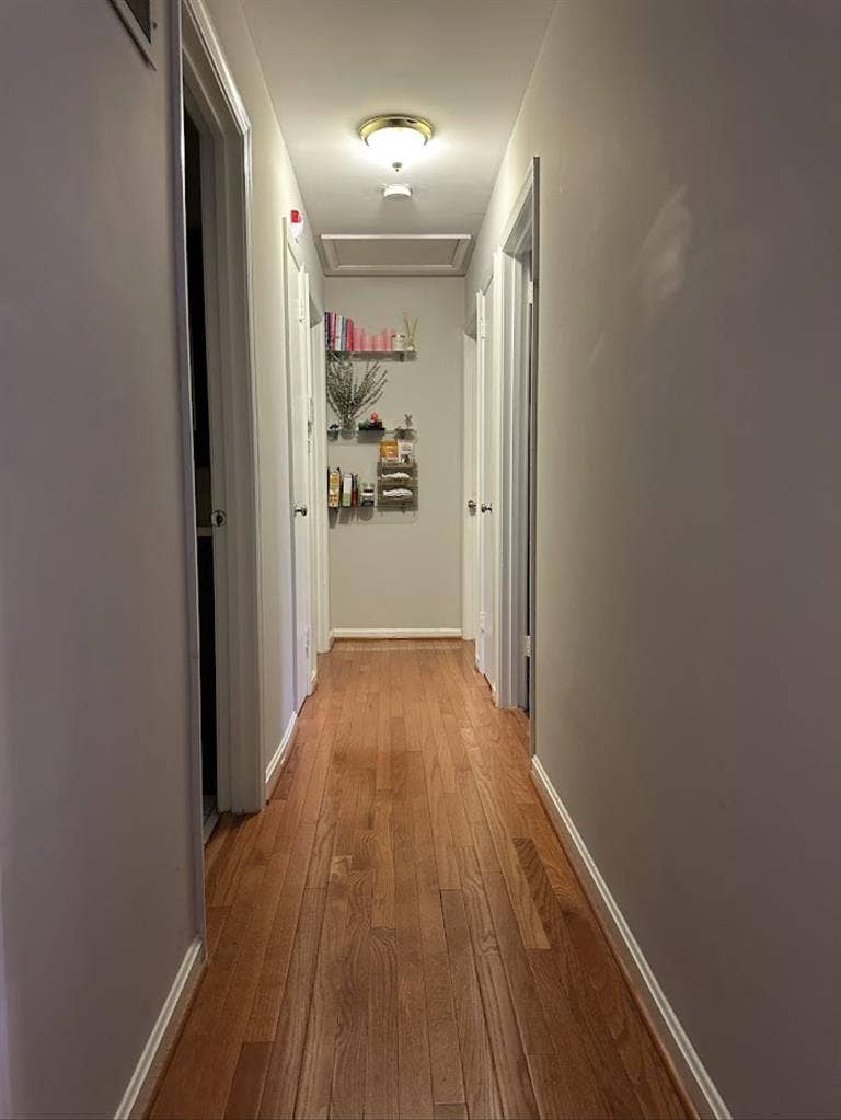 Looking for roommate in Fairfax!