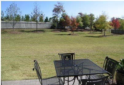 Alpharetta Townhome Near Avalon