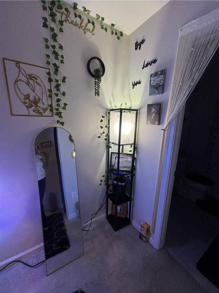 Basement Room + Bathroom Available