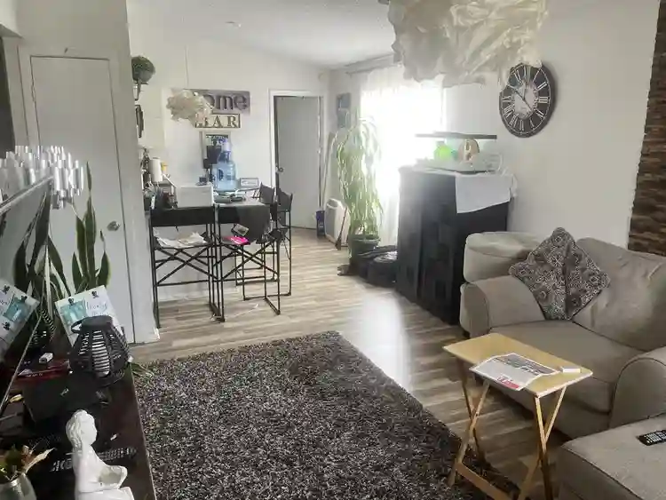 Looking For Student or Professional