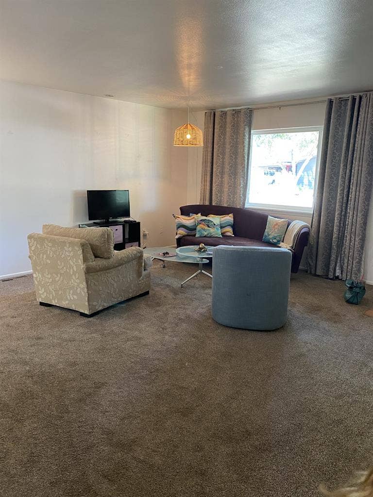 Looking For Roommates!