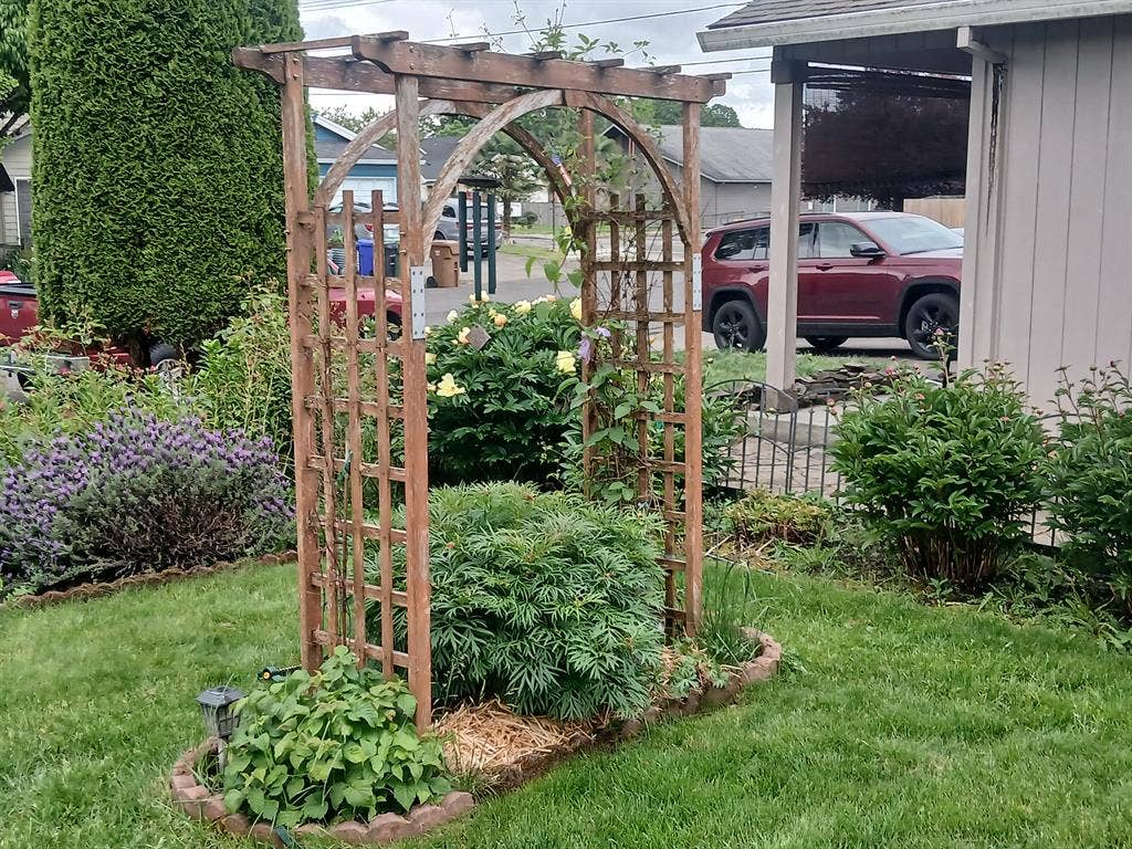 New Listing