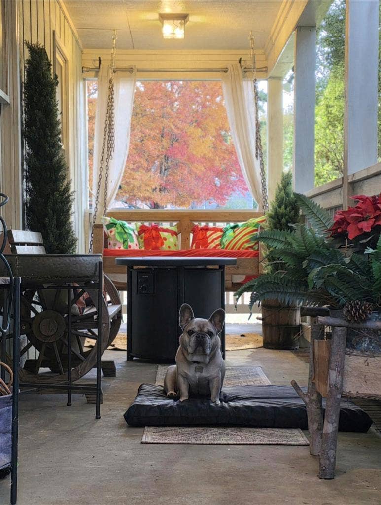 Fully furnished room available