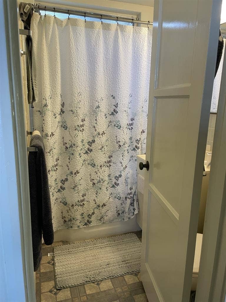 1 Bedroom in a 2 bedroom / 1 bath